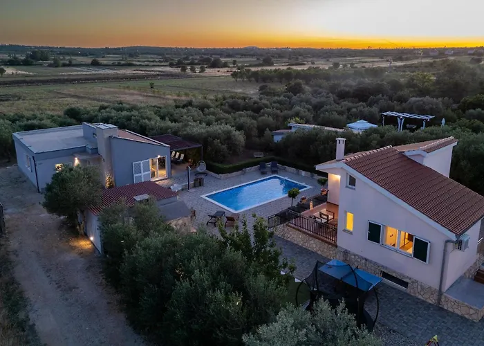 Pet Friendly In Polaca