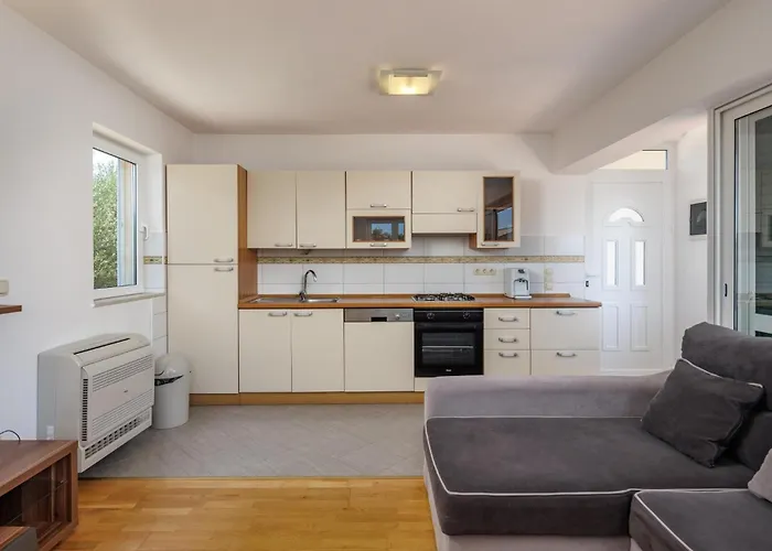 Pet Friendly In * Polaca