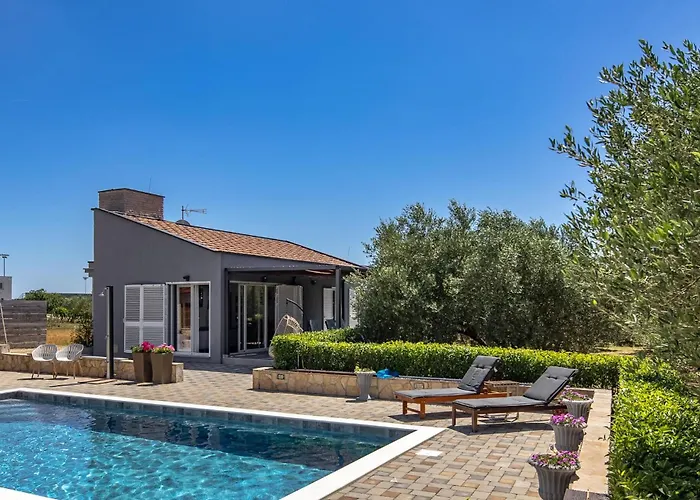 Pet Friendly In Polaca