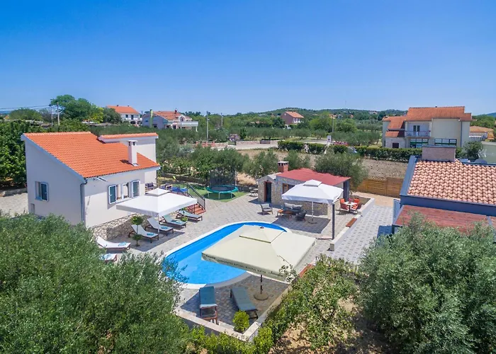 Pet Friendly In Polaca